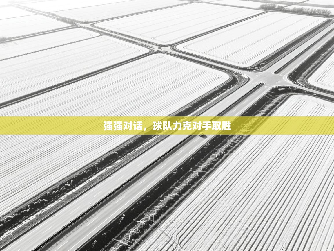 强强对话，球队力克对手取胜  第1张