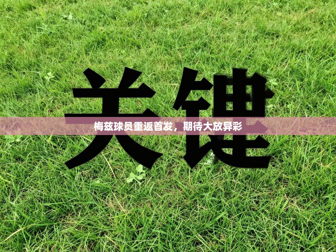 梅兹球员重返首发,期待大放异彩 第1张